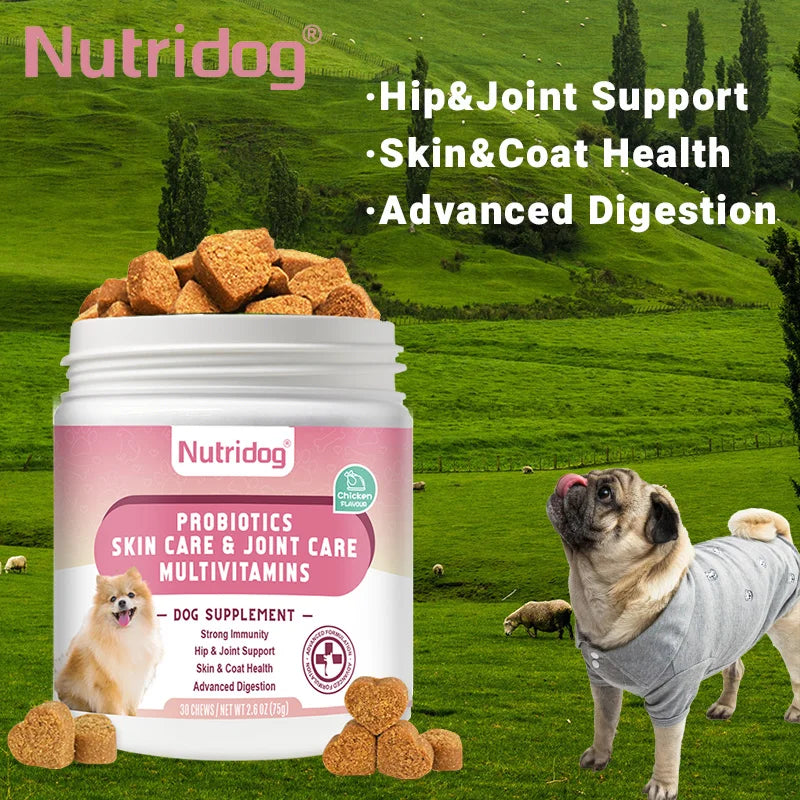 NUTRIDOG Multivitamin Chews for Dogs with Probiotics Glucosamine&Digestive Enzymes Supports Joint Health Immune System&Gut