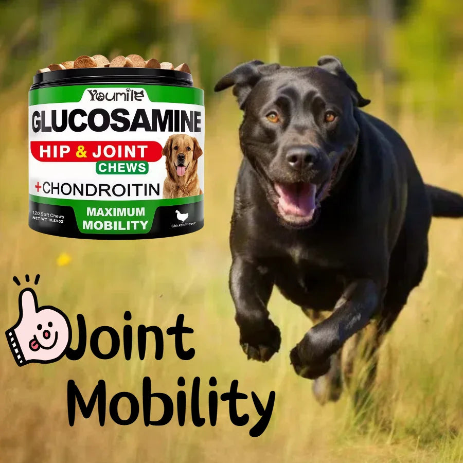 【120 Chews】Hip&Joint Chondroitin Chewable Tablets for Dogs - Calcium Supplementation/Cartilage Repair/Pain Relief/